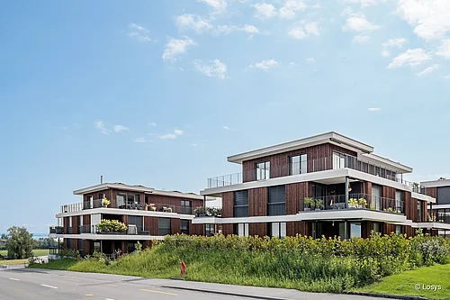 An exterior shot of a modern residential development comprising several three-storey buildings: dark wood-clad façades, wide white banding between storeys and large windows with visible sliding glass doors leading onto balconies featuring plants and seating areas. In the foreground, a road, lawns and shrubbery; in the background, a bright, slightly overcast sky.