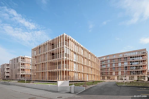 Vue extérieure de plusieurs immeubles d'habitation modernes du lotissement Lindenweg : façades composées de lamelles de bois verticales, de grandes baies vitrées et de balcons, allée pavée, espaces verts de faible hauteur et ciel bleu.