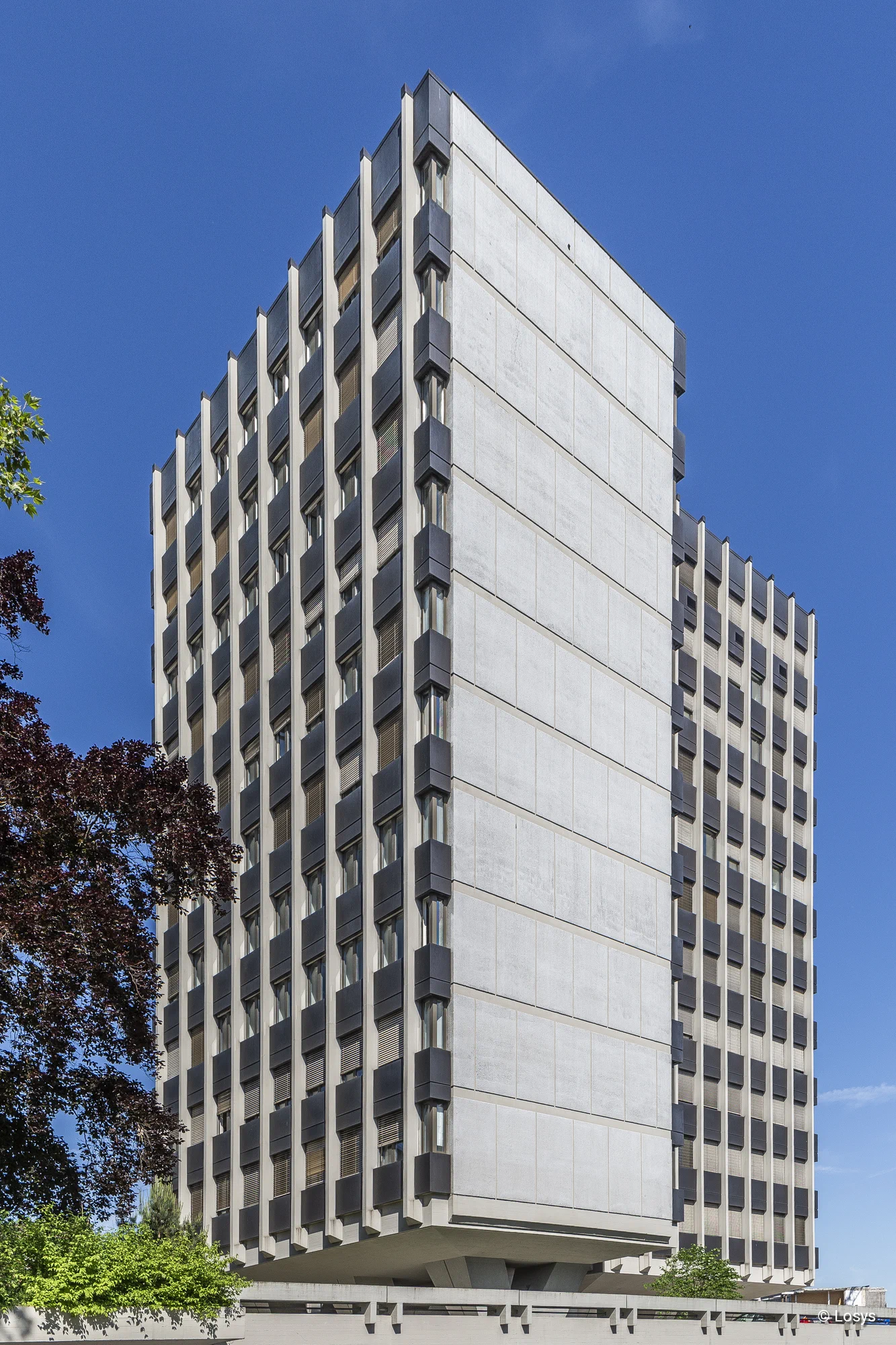 Von unten fotografierte Ecke eines mehrgeschossigen Sichtbetongebäudes mit regelmäßigen, schmalen Fenstern in dunklen Rahmen; blauer Himmel und Bäume im Vordergrund.