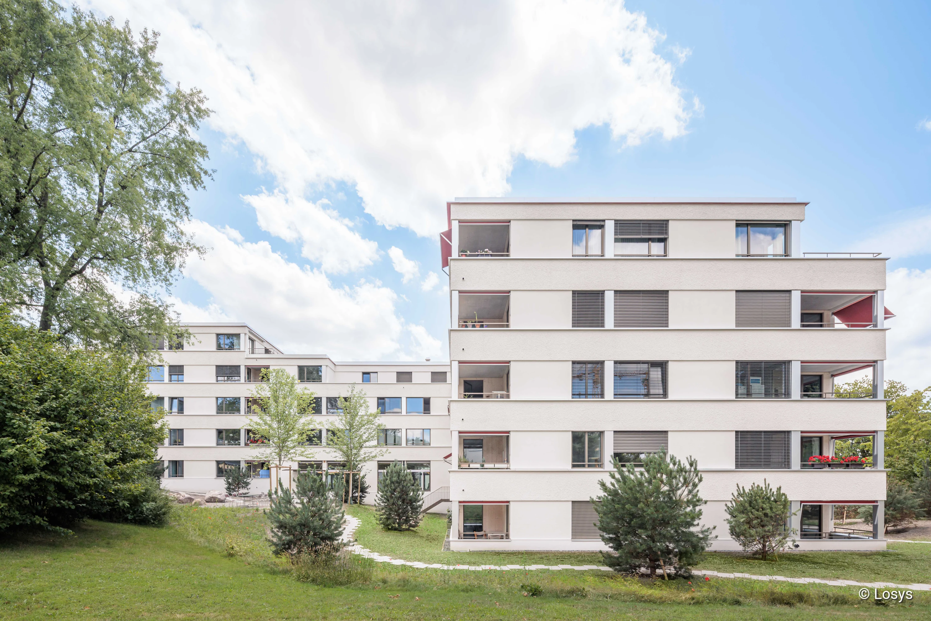 Außenansicht eines weißen, viergeschossigen Wohnhauses (Ersatzneubau Alterswohnungen Stöckli, Zürich) mit zurückgesetzten Balkonen, breiten Fenstern, Außenjalousien, Rasenfläche und Bäumen im Vordergrund.