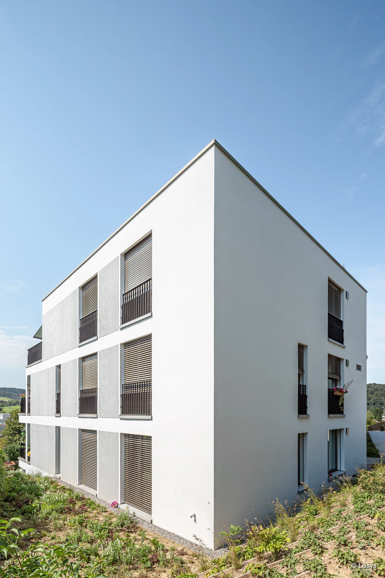 Eckansicht des Neubaus Haldenacher (Birmensdorf): modernes, weiß verputztes Wohnhaus mit drei Geschossen, Reihenfenstern mit außenliegenden Lamellenrollläden und dunklen Balkongittern; bepflanzter Hang im Vordergrund und klarer blauer Himmel.