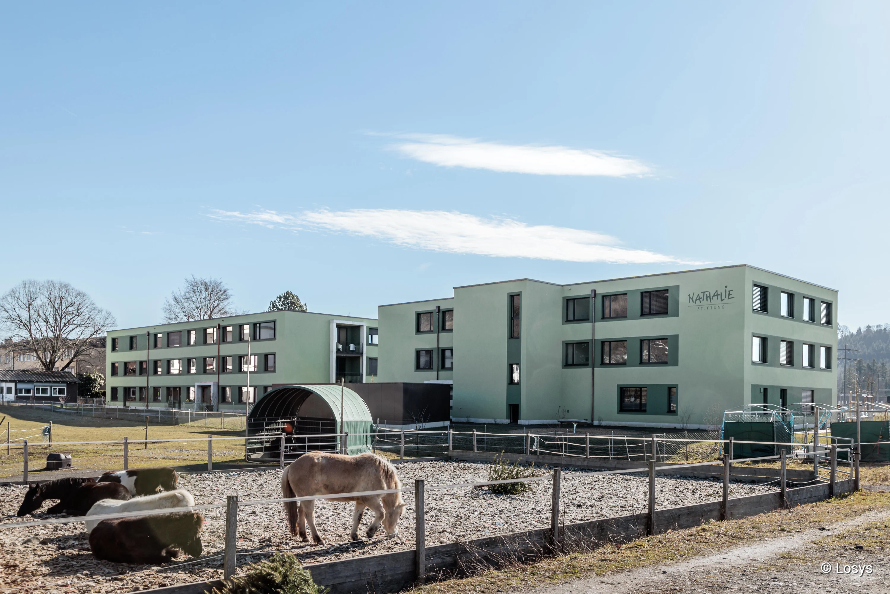 Neubau der Nathalie Stiftung: dreigeschossiger, hellgrün verputzter Flachbau mit rechteckigen Fenstern; im Vordergrund ein eingezäunter Paddock mit mehreren Pferden/Ponys und einer überdachten Stallbox, klarer blauer Himmel.